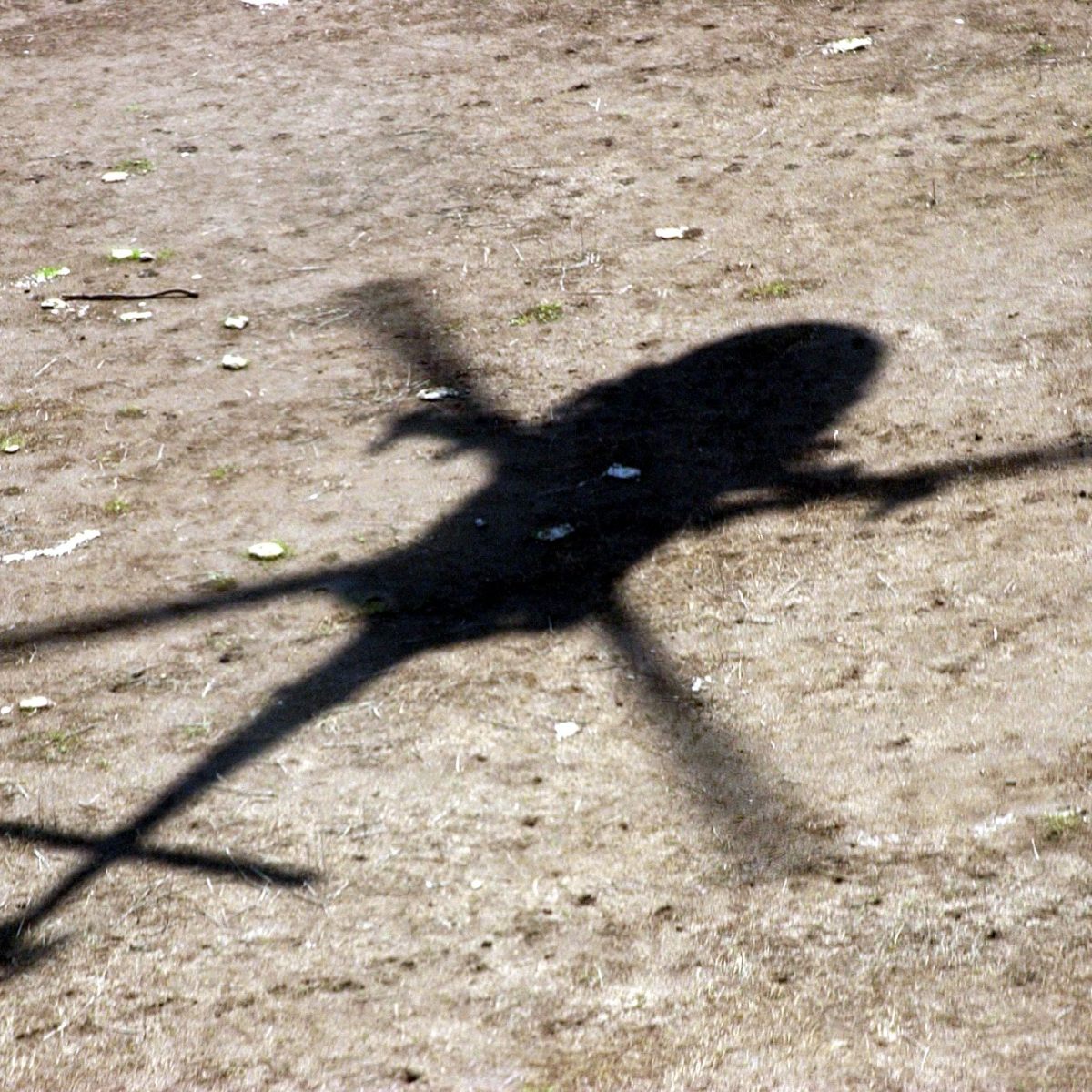 Black Hawk (Kinda)&nbsp;Down.